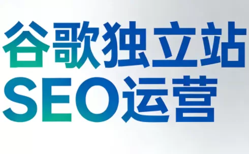 谷歌独立站SEO运营(更新2026)我爱资源网-www.52zy.xyz我爱资源网