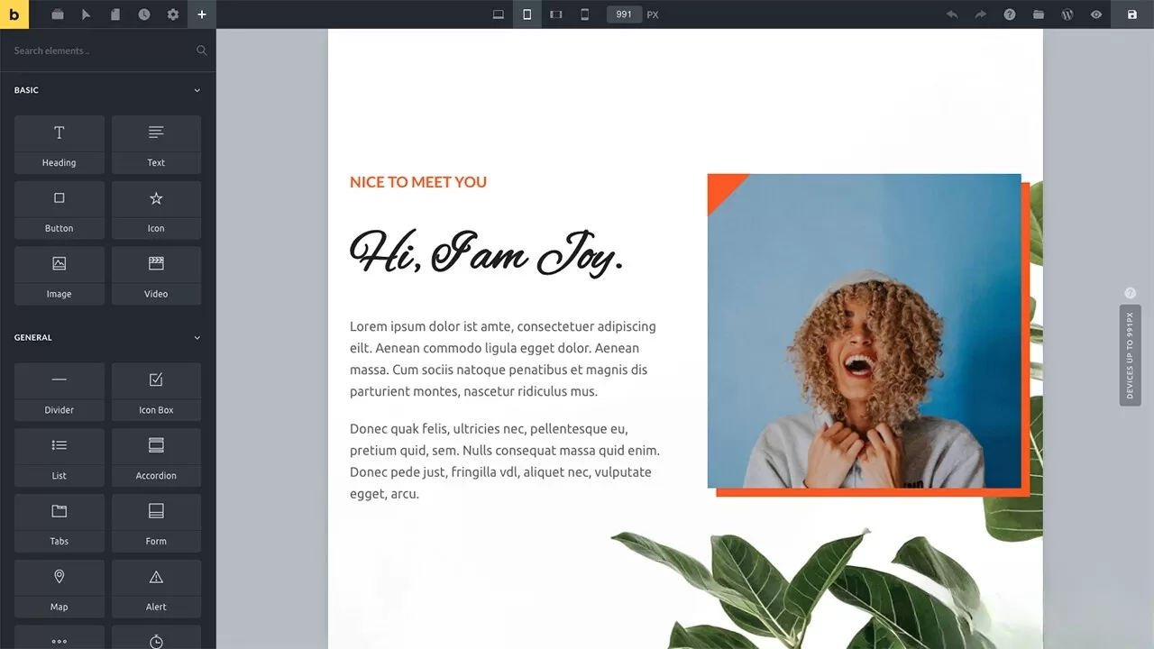 WordPress主题Bricks v1.9 破解版我爱资源网-www.52zy.xyz我爱资源网