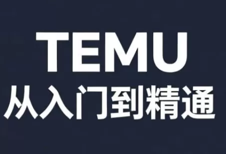跨境麦冬·TEMU从入门到精通我爱资源网-www.52zy.xyz我爱资源网