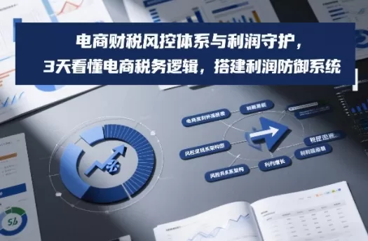 电商财税风控体系与利润守护，3天看懂电商税务逻辑，搭建利润防御系统我爱资源网-www.52zy.xyz我爱资源网