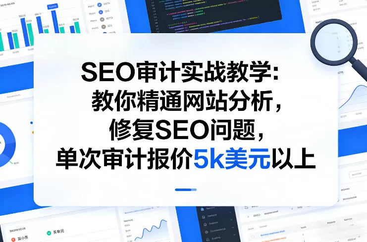 SEO审计实战教学：教你精通网站分析，修复SEO问题，单次审计报价5k美元以上我爱资源网-www.52zy.xyz我爱资源网