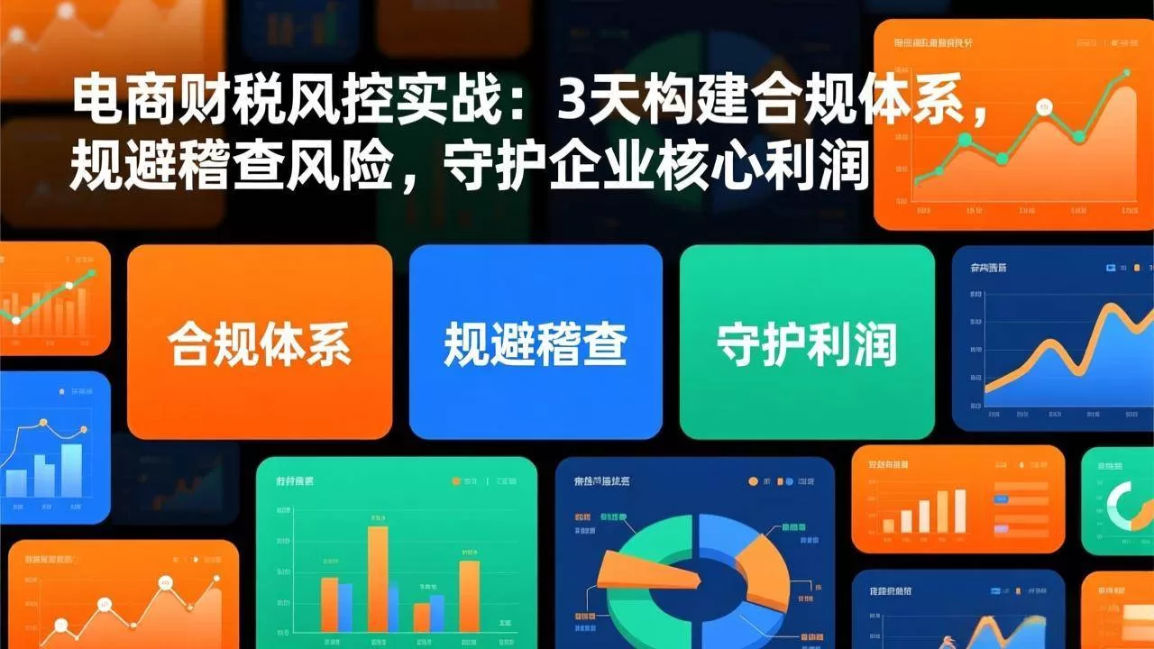 （17197期）电商财税风控实战：3天构建合规体系，规避稽查风险，守护企业核心利润我爱资源网-www.52zy.xyz我爱资源网