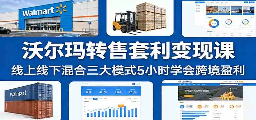 沃尔玛转售套利变现课：线上线下混合三大模式5小时学会跨境盈利我爱资源网-www.52zy.xyz我爱资源网