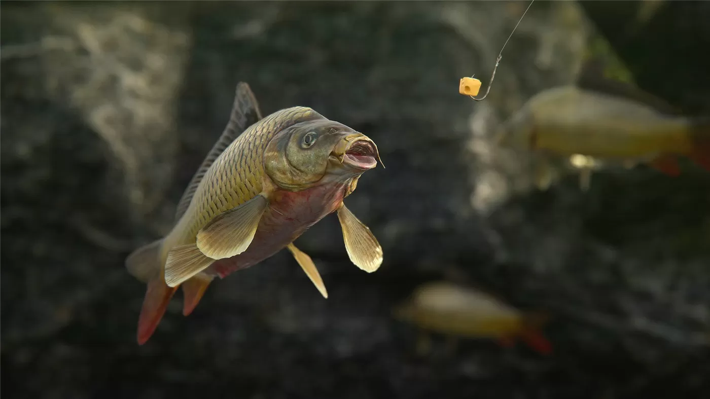 《人渣》v1.1.0.2.99989中文版我爱资源网-www.52zy.xyz我爱资源网