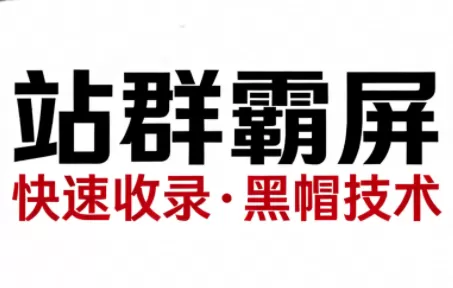 SEO野路子实战全集：快速收录、站群霸屏、黑帽技术(更新)我爱资源网-www.52zy.xyz我爱资源网